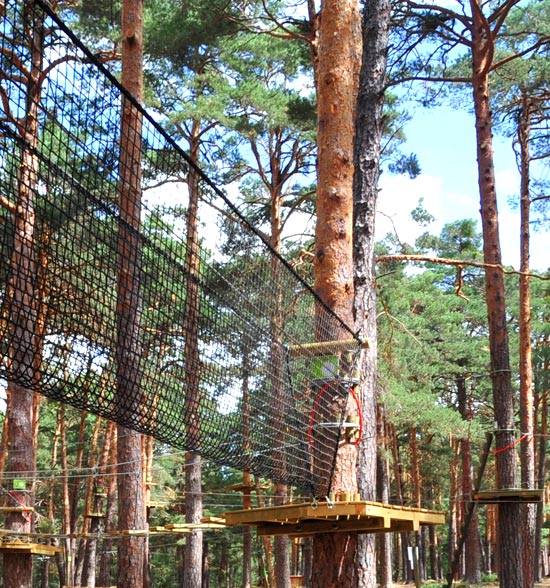 newape_proyectos_vinuesta02