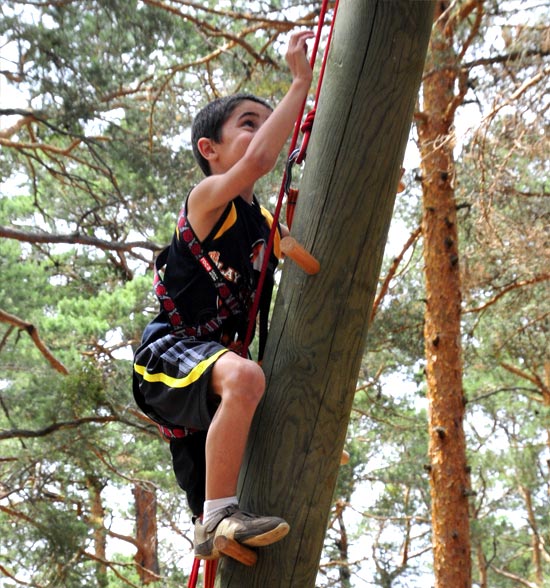 newape_proyectos_vinuesta03