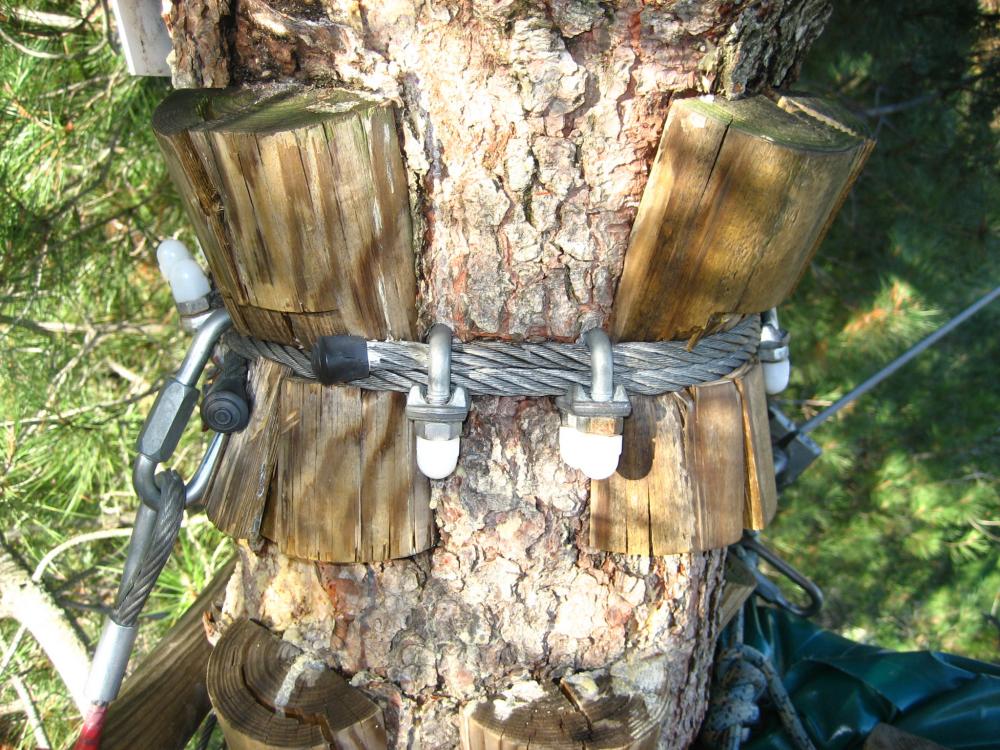 mantenimiento árboles parque de aventura forestal