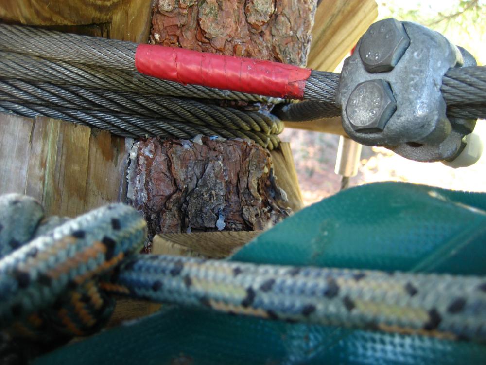 mantenimiento árboles parque de aventura forestal