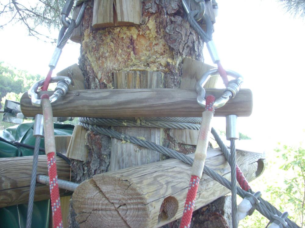 mantenimiento árboles parque de aventura forestal